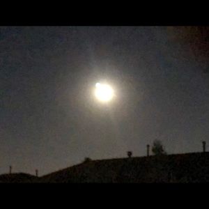 Meet your Posher, Pamela